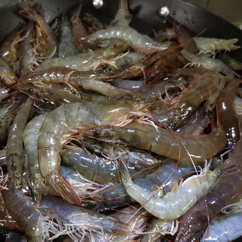 鲜活大虾